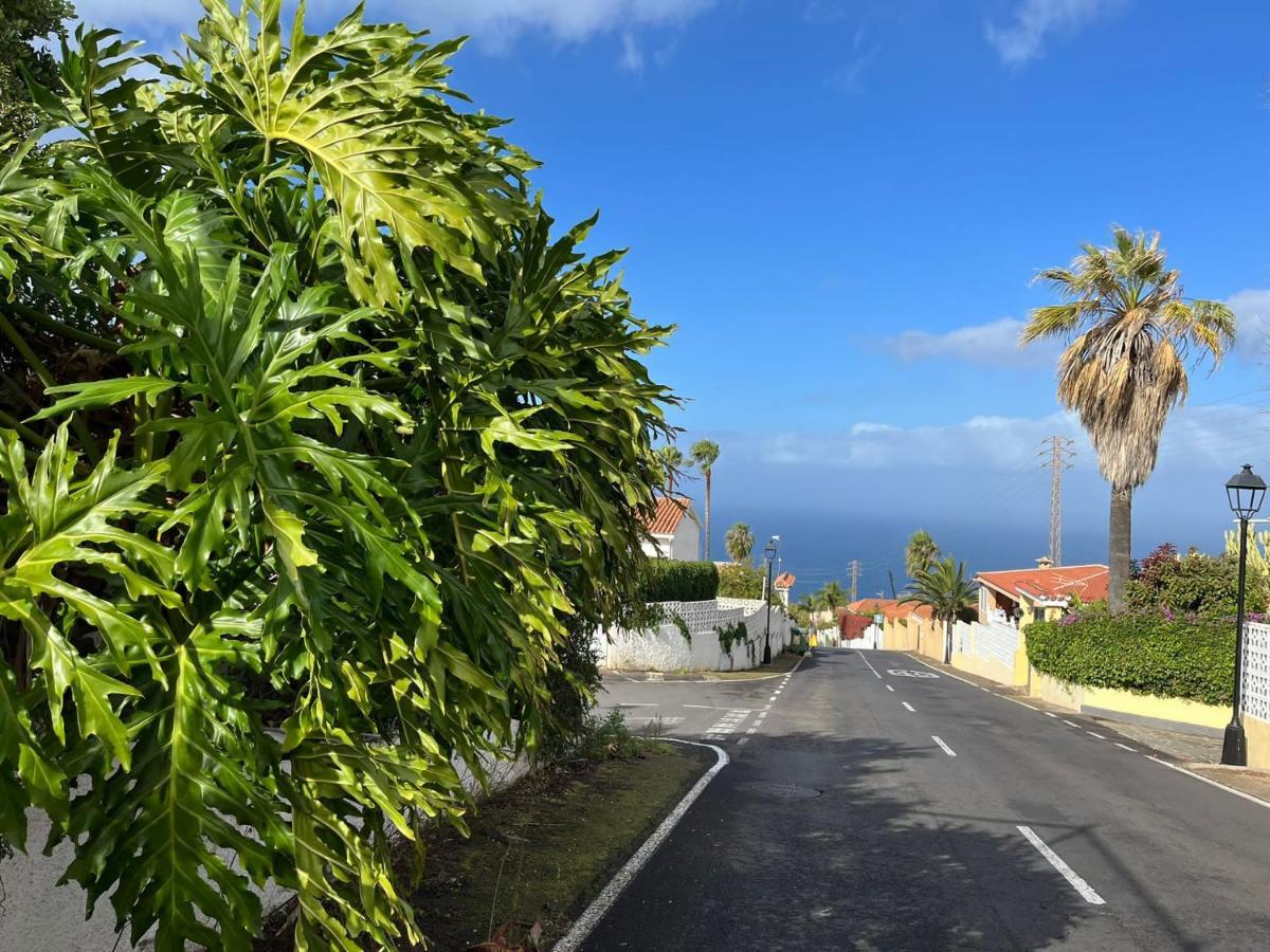 Apartamento Studio Sea Front View & Pool Tacoronte Exterior foto